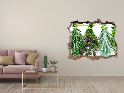 Hole in the wall decal Herbs on a string