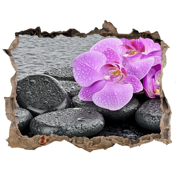 Hole wall sticker Stones orchids