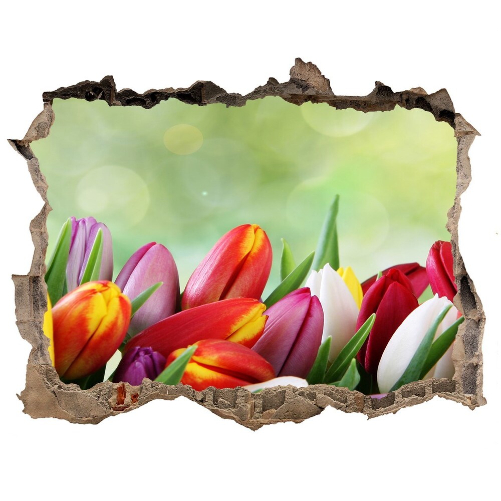 Hole in the wall decal Colorful tulips