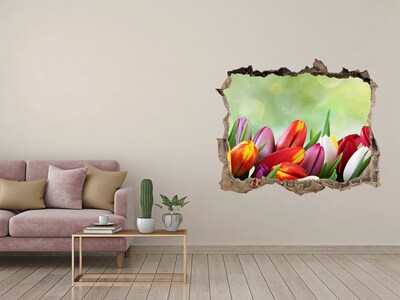 Hole in the wall decal Colorful tulips