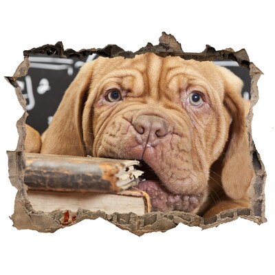 Hole in the wall sticker A sweet puppy among books