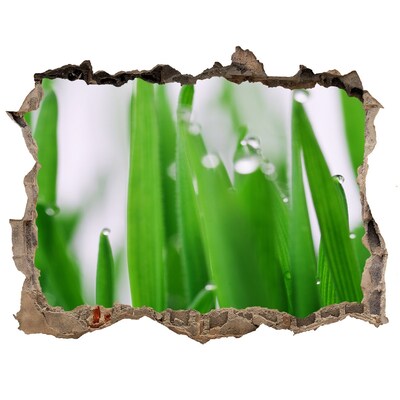 Hole in the wall sticker Blade of grass