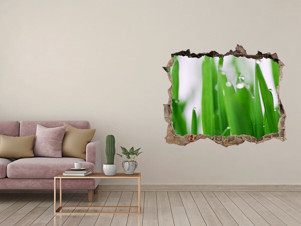 Hole in the wall sticker Green meadow with drops of water