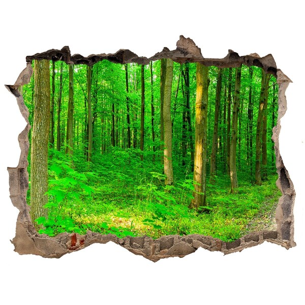 Hole in the wall sticker Green Forest in a Hole in the Wall