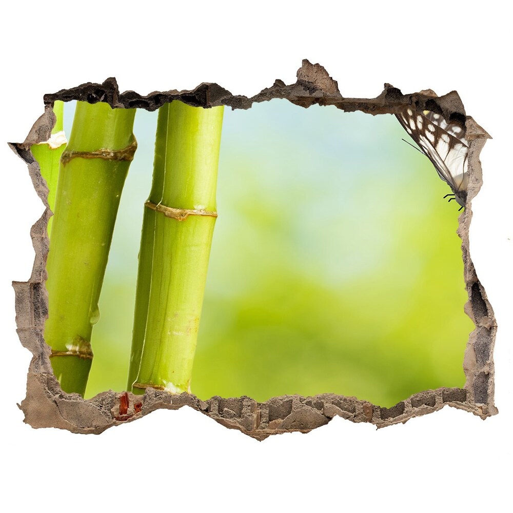 Hole in the wall decal Bamboo and butterfly