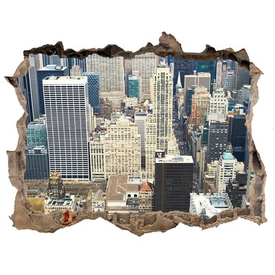 3D wall hole View of Manhattan