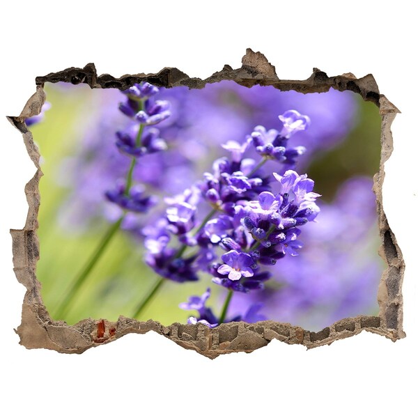 3D wall hole Lavender flowers in a virtual hole