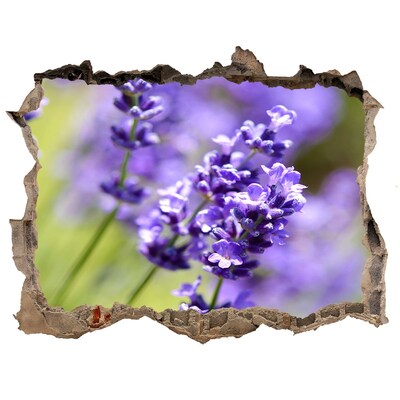 3D wall hole Lavender flowers in a virtual hole