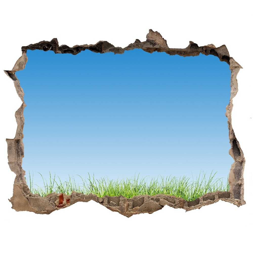 Hole wall sticker Grass