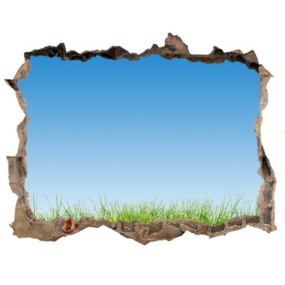 Hole wall sticker Green meadow under a blue sky