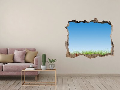Hole wall sticker Green meadow under a blue sky