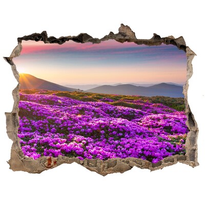 Hole wall sticker Floral landscape in the mountains