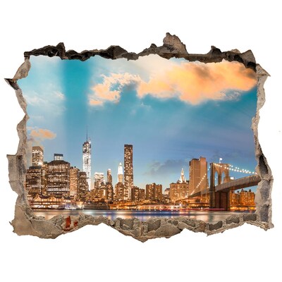Hole wall sticker View of New York