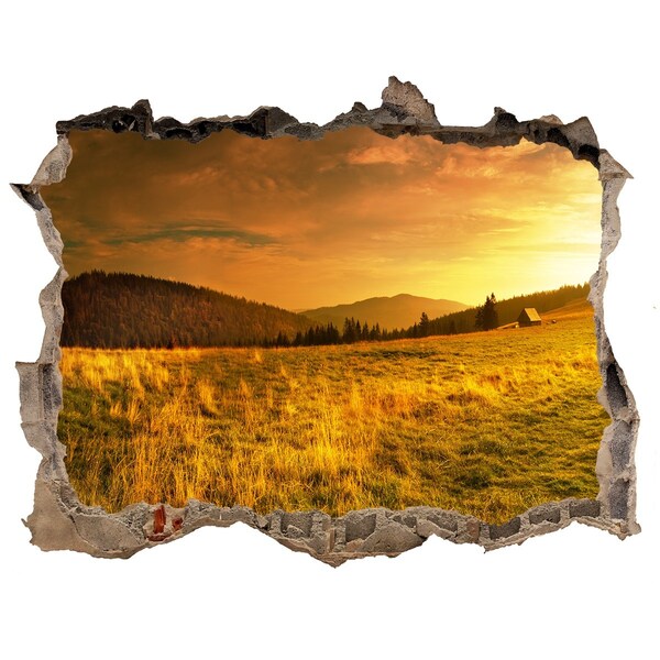 Hole wall sticker Golden meadow at sunset