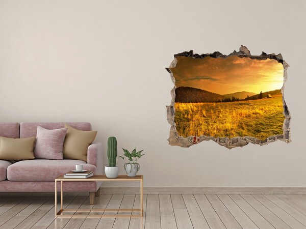 Hole wall sticker Golden meadow at sunset