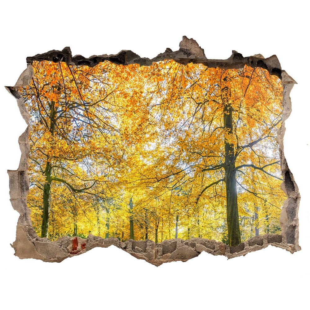 3D wall hole wallpaper Forest in autumn