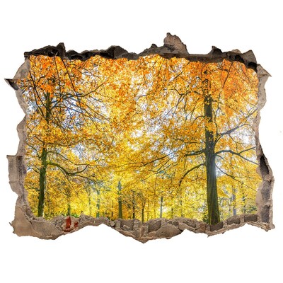 3D wall hole wallpaper Golden autumn in the forest