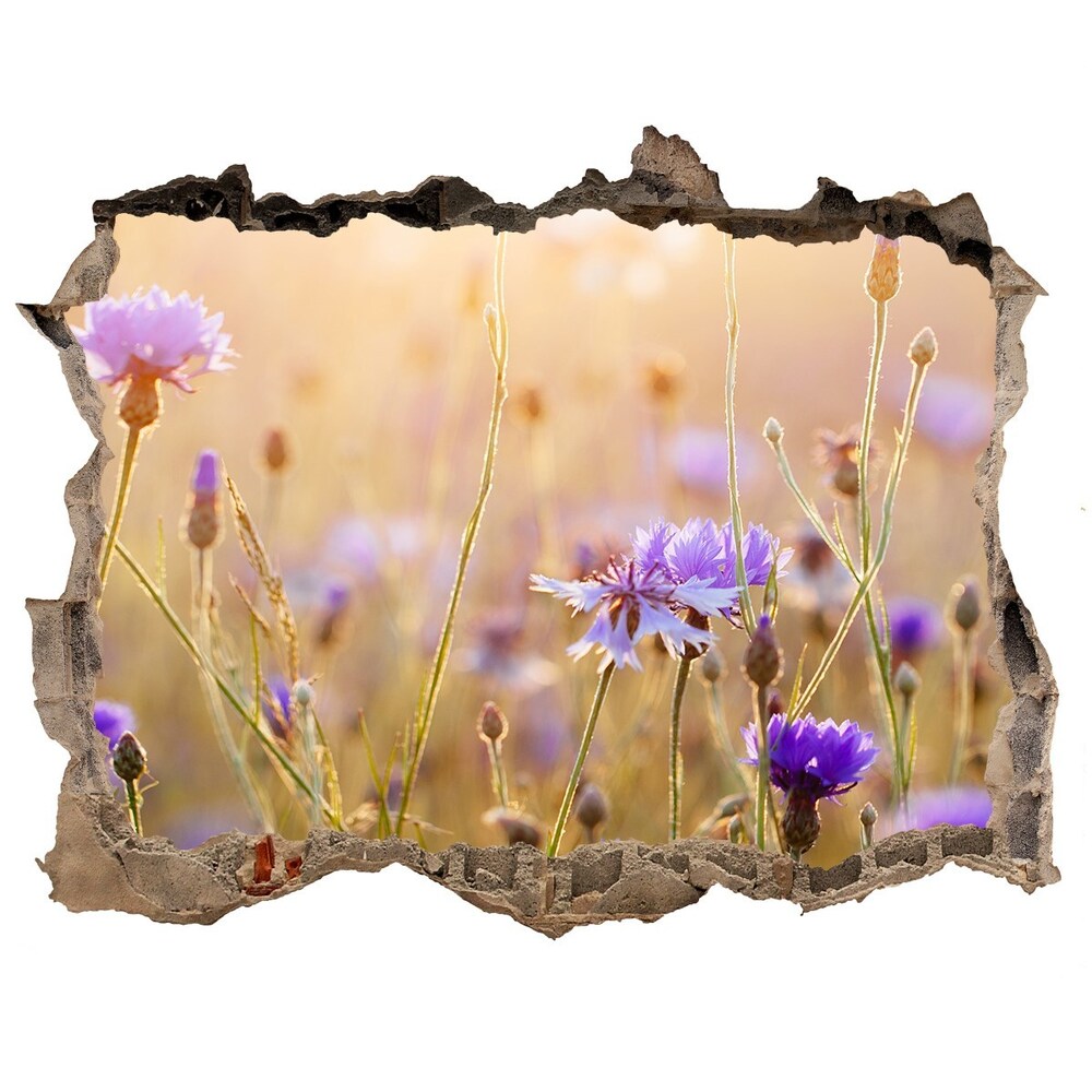 Hole wall sticker Field flowers