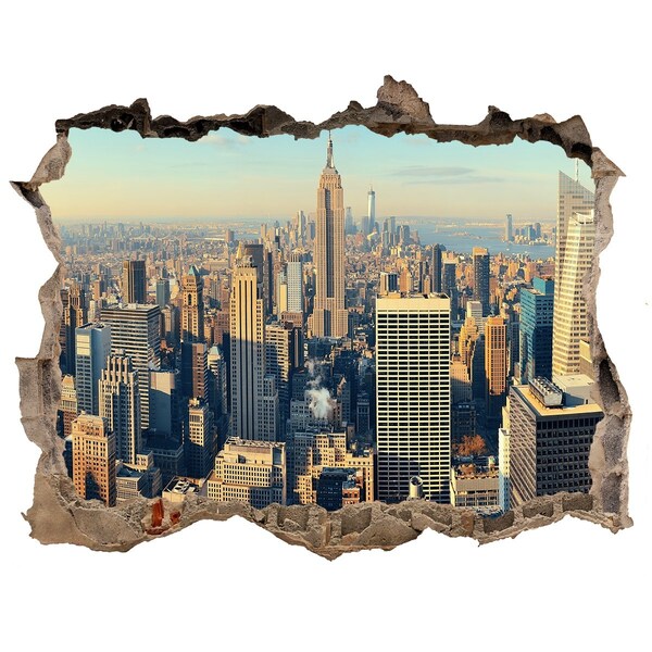 Hole wall sticker View of New York