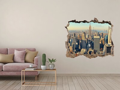 Hole wall sticker View of New York