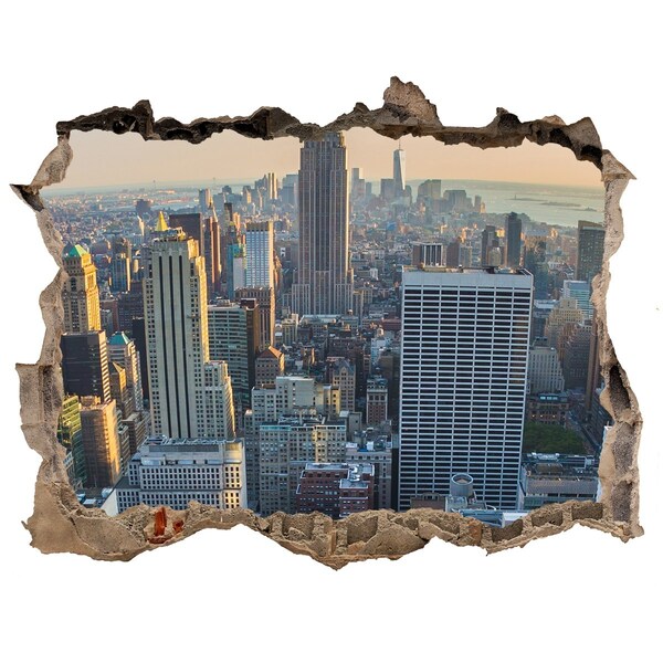Hole in the wall decal View of New York