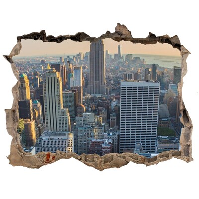Hole in the wall decal View of New York