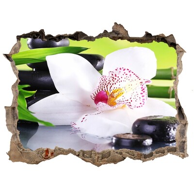 Hole wall sticker A floral oasis of peace