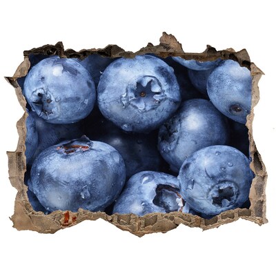 Hole in the wall sticker Berries in concrete