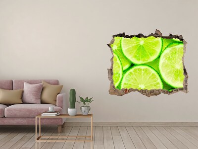 3D wall hole Lime