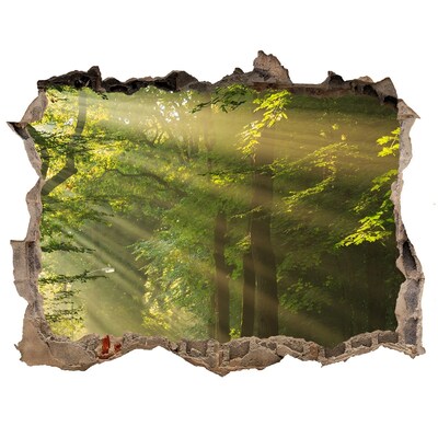 3D wall hole Forest Oasis of Light