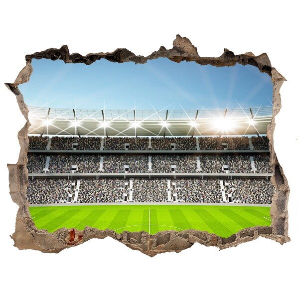 3D wall hole The football stadium in action