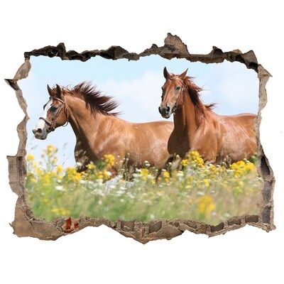 3D wall hole Horses in the meadow