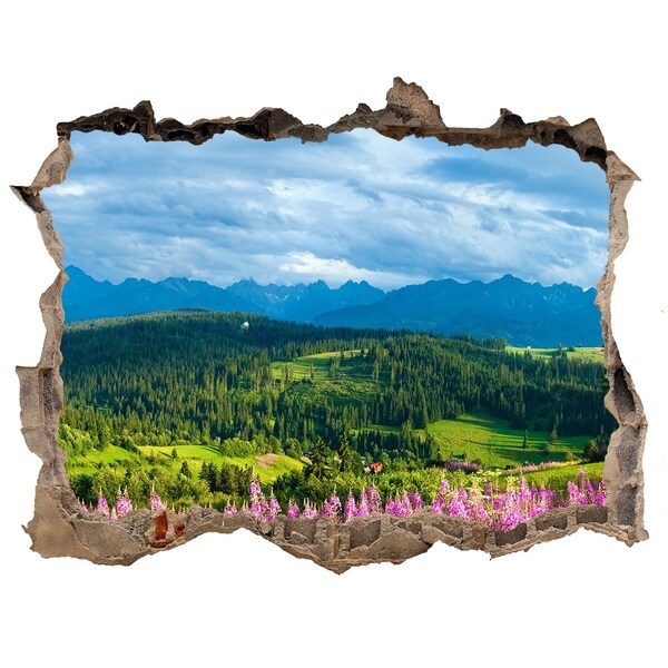 Hole in the wall decal Mountain landscape with flowers