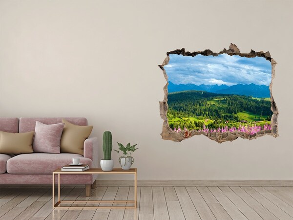 Hole in the wall decal Mountain landscape with flowers