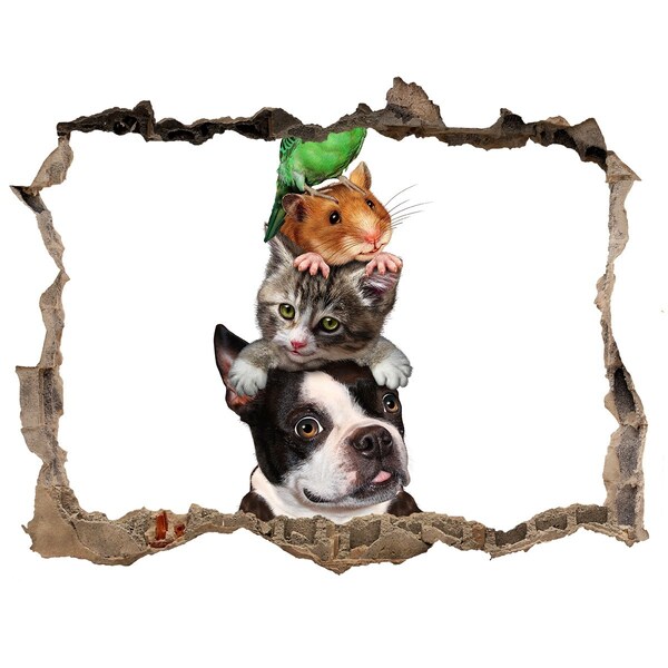 Hole wall sticker Animal Friendship Tower