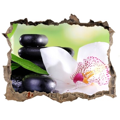 Hole wall sticker Orchid