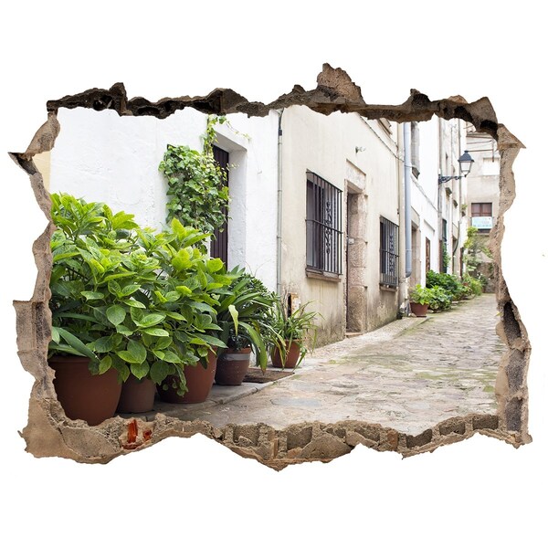 Hole in the wall decal A charming street with vegetation
