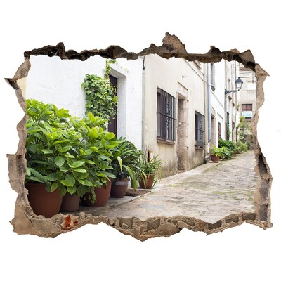 Hole in the wall decal A charming street with vegetation