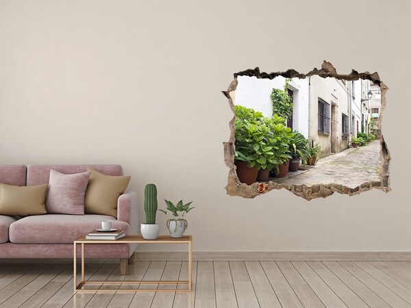 Hole in the wall decal A charming street with vegetation
