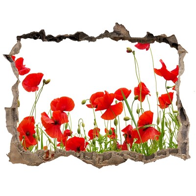 Hole in the wall sticker A floral paradise in concrete