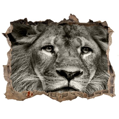 Hole in the wall sticker Lion