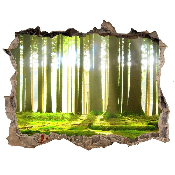Hole in the wall sticker Green forest with sun rays