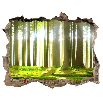 Hole in the wall sticker Green forest with sun rays
