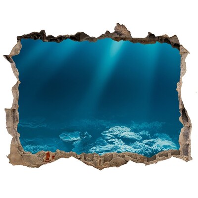 Hole in the wall sticker Underwater world