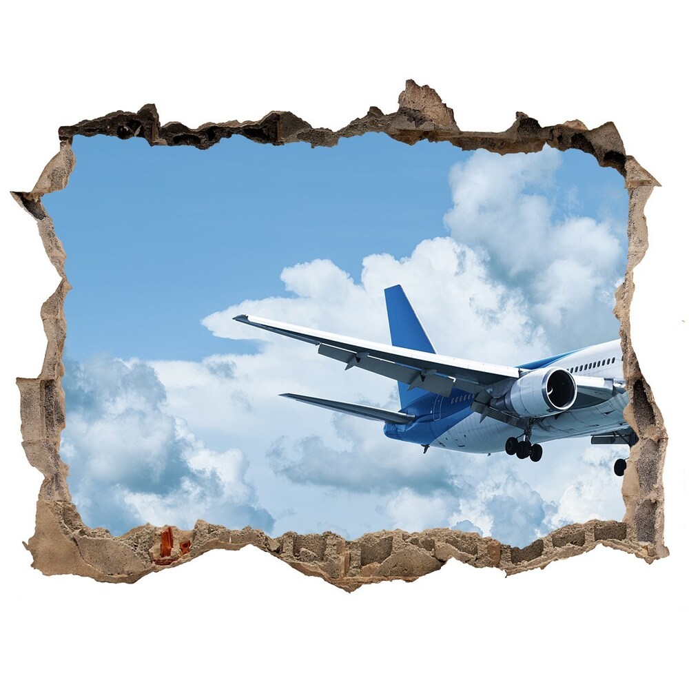 Hole in the wall decal Plane in the sky