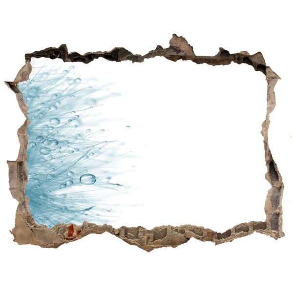Hole in the wall decal Water in the hole in the wall