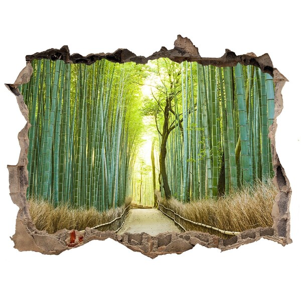 Hole in the wall sticker Bamboo forest in the sun