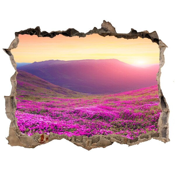 Hole in the wall sticker Flower Valley at Sunset
