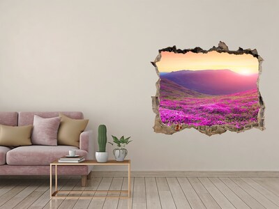 Hole in the wall sticker Flower Valley at Sunset