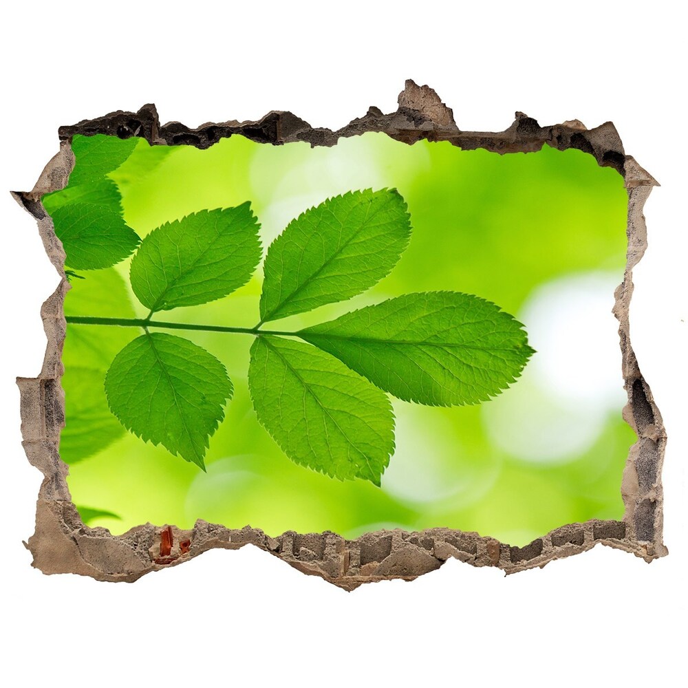 Hole in the wall decal Green leaves